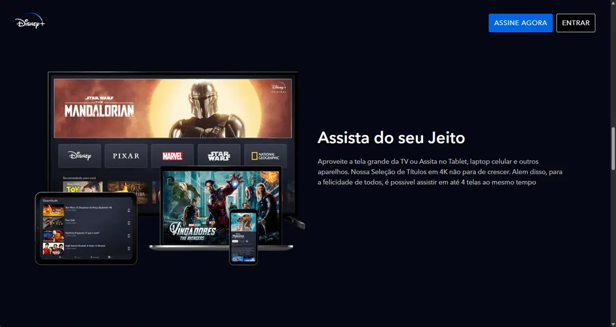 Clone do Disney+ - Imagem 2